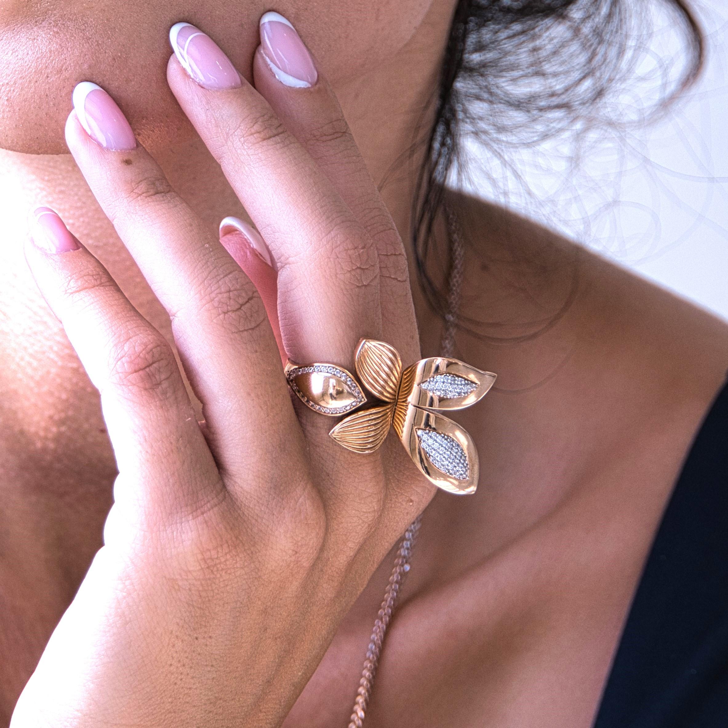 Butterfly 5